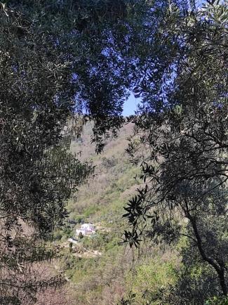 Tottavilla Affittacamere Campodonico  Esterno foto
