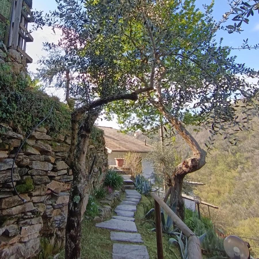Tottavilla Affittacamere Campodonico  Esterno foto